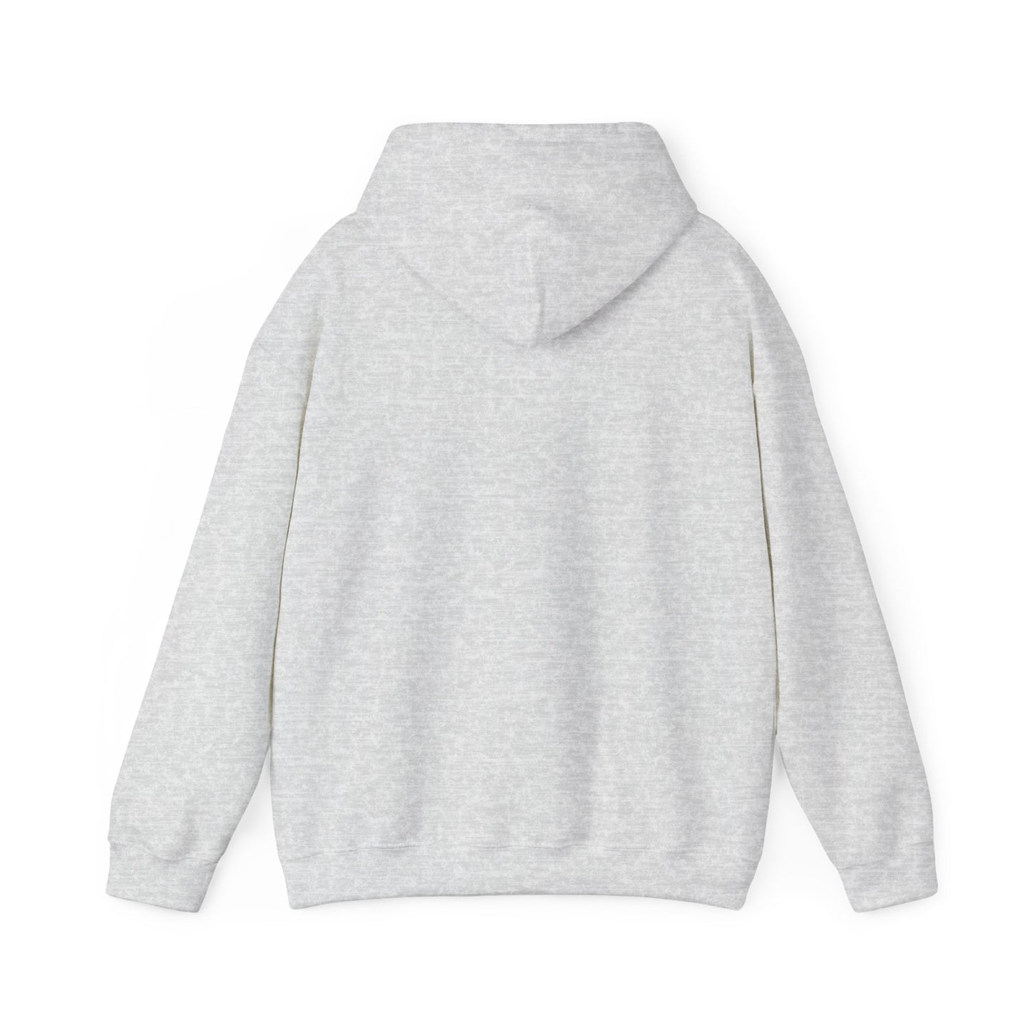 Dream Bigger Hooded Sweatshirt