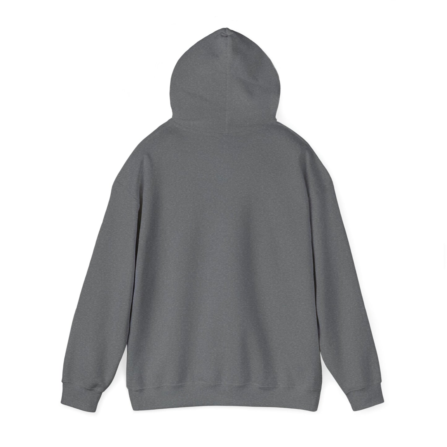 Dream Bigger Hooded Sweatshirt