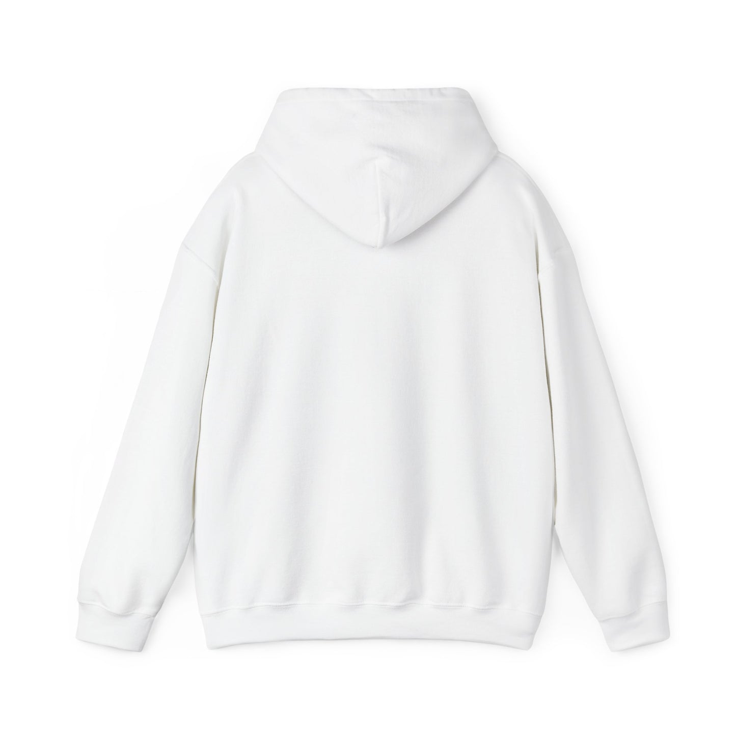 Dream Bigger Hooded Sweatshirt