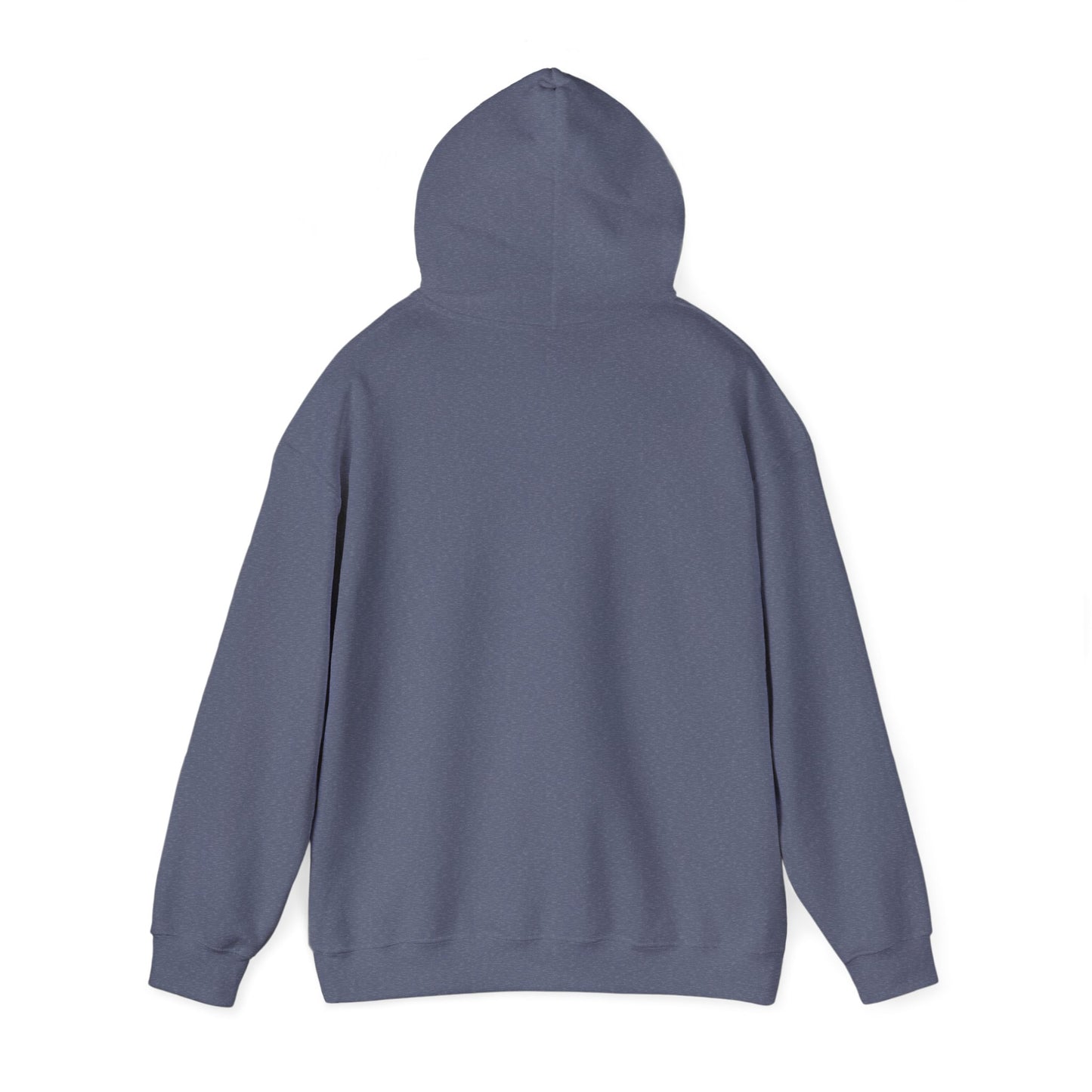 Dream Bigger Hooded Sweatshirt