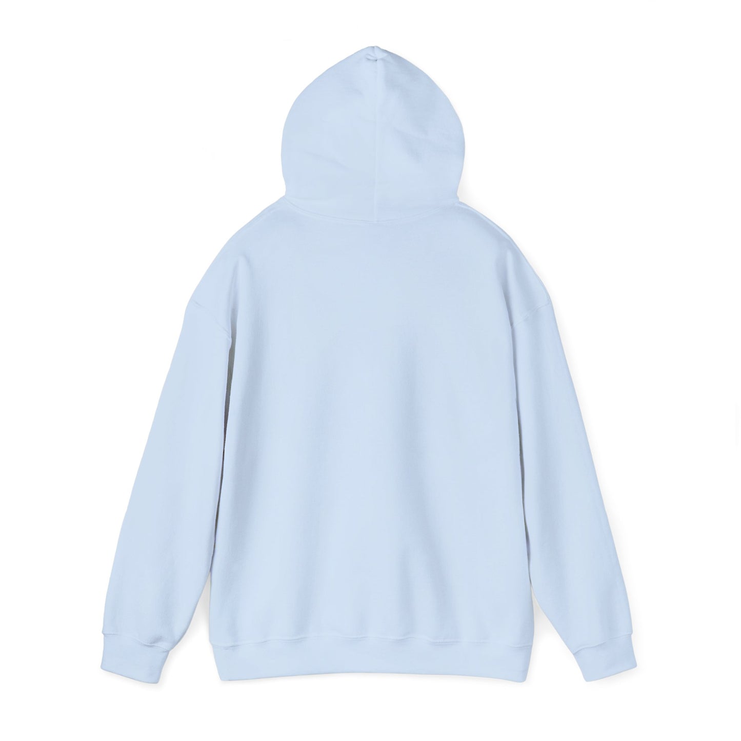 Dream Bigger Hooded Sweatshirt