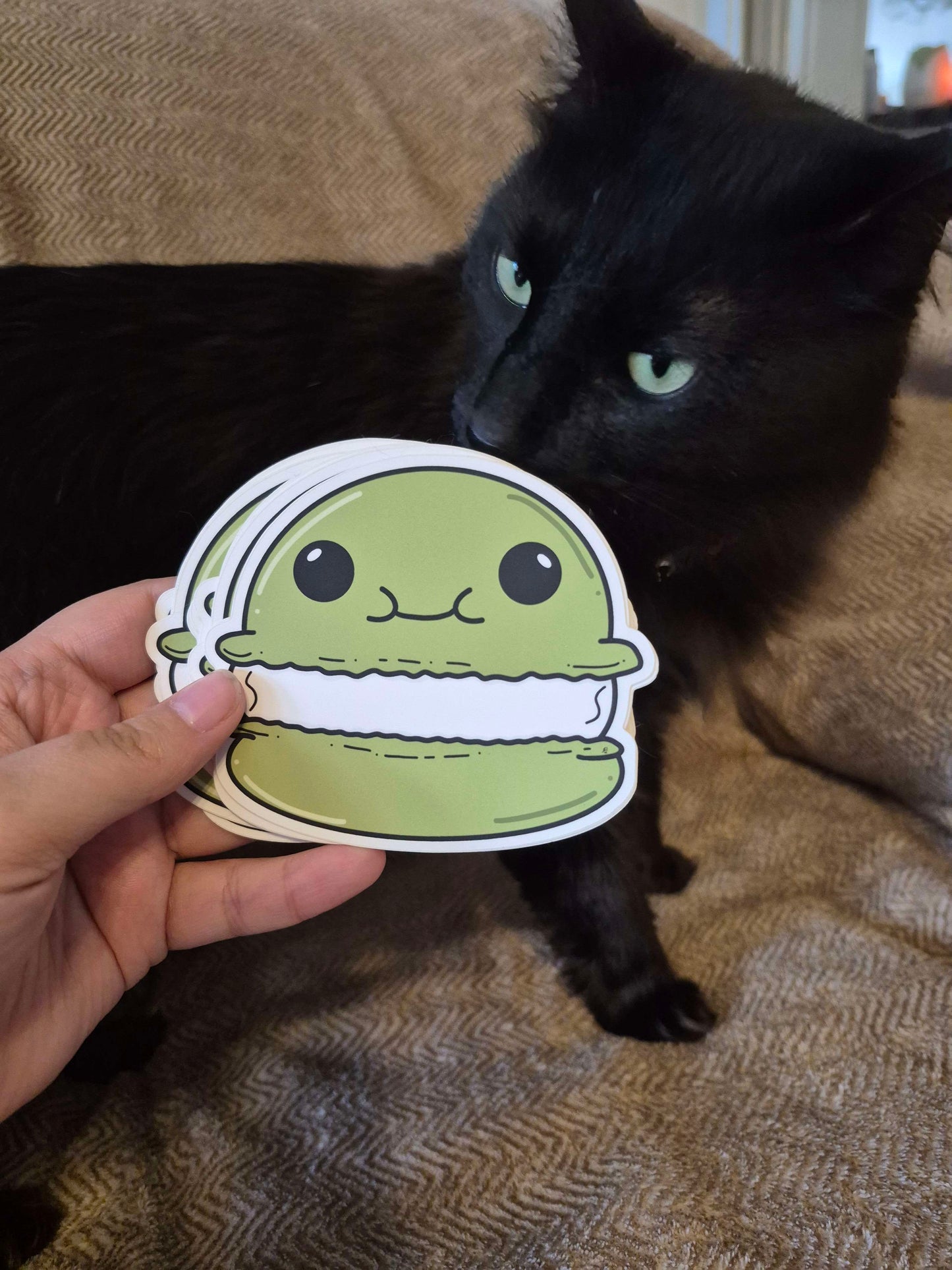 Green Macaron Vinyl Sticker