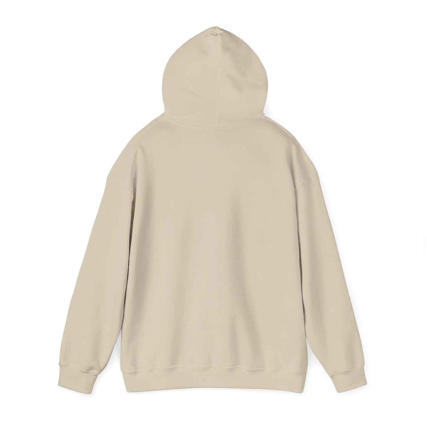 Dream Bigger Hooded Sweatshirt