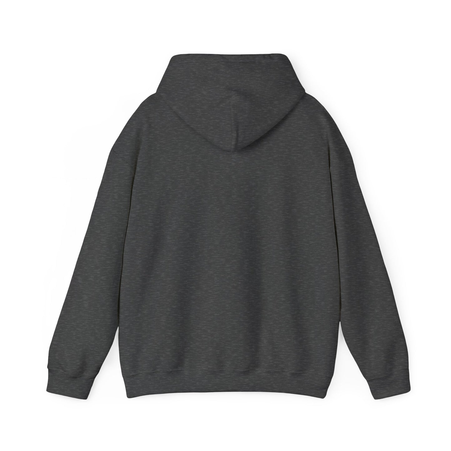 Dream Bigger Hooded Sweatshirt