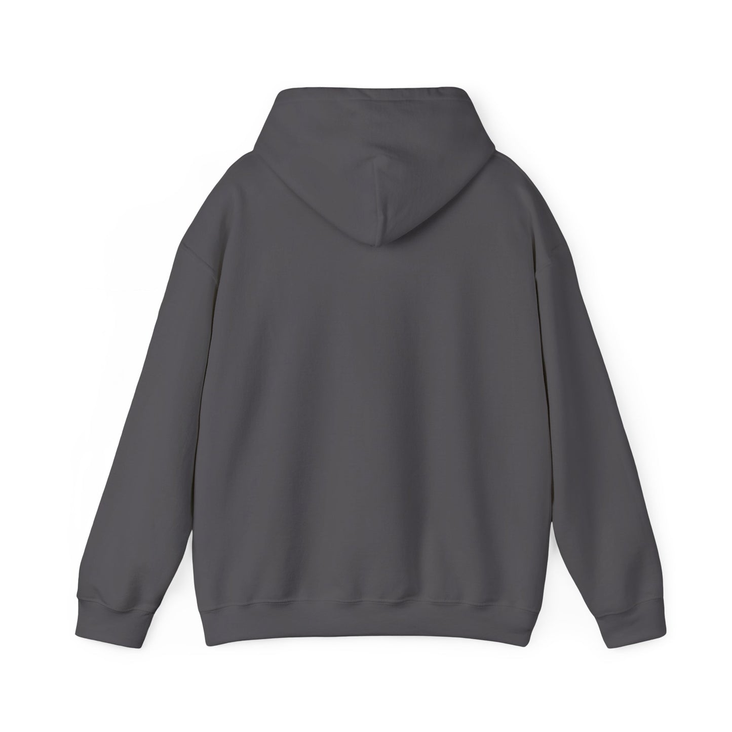 Dream Bigger Hooded Sweatshirt