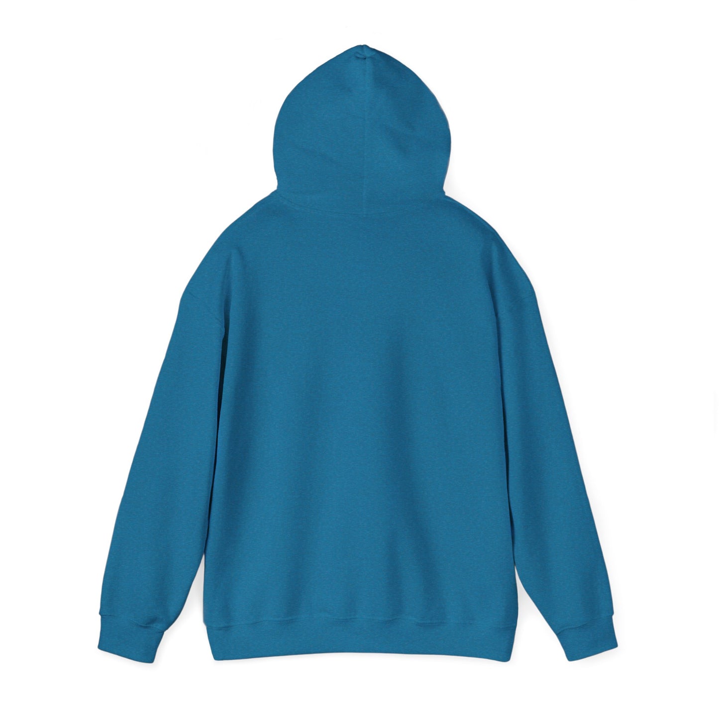 Dream Bigger Hooded Sweatshirt