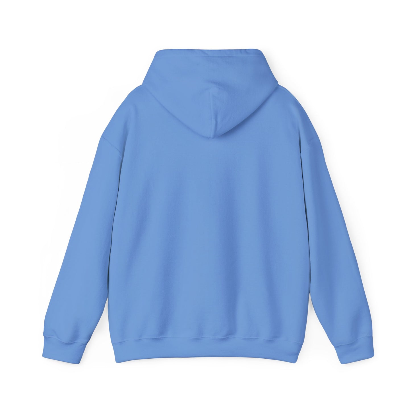 Dream Bigger Hooded Sweatshirt